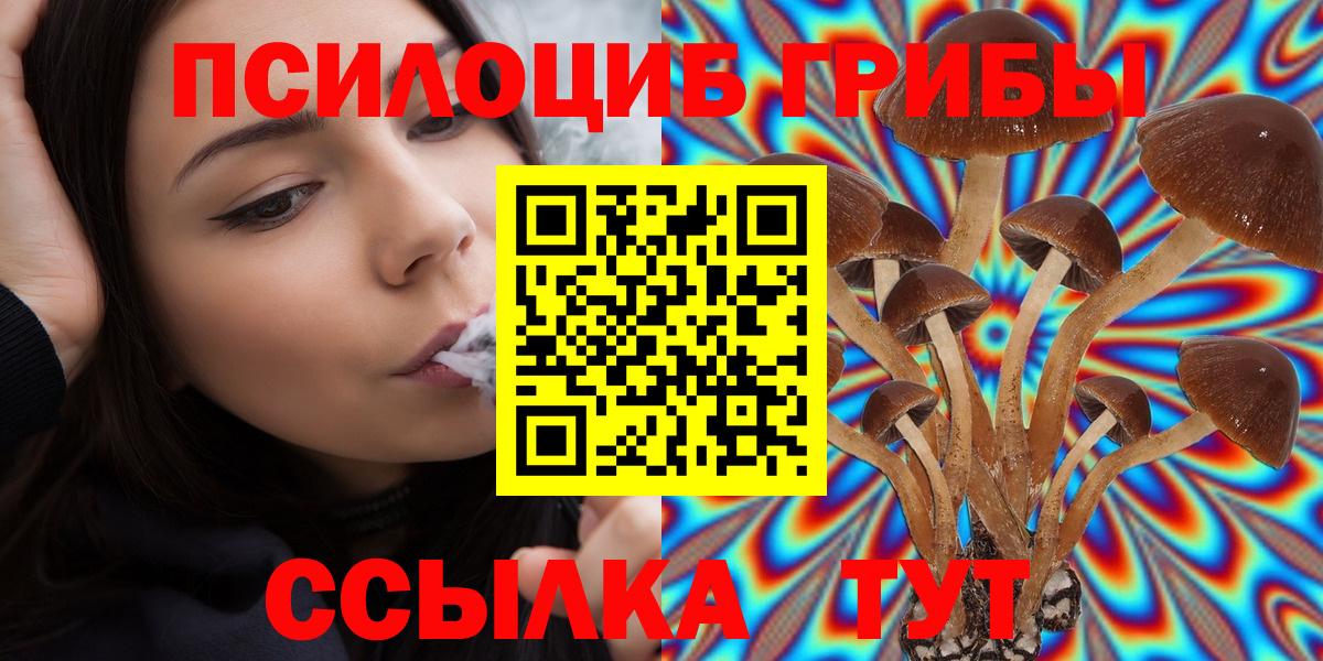сколько стоит  Галлюциногенные грибы мухоморы  Вход с VPN  Волгоград 